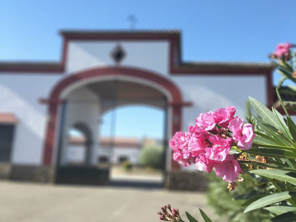 Huertezuela1