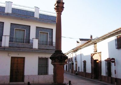 patrimonial 9