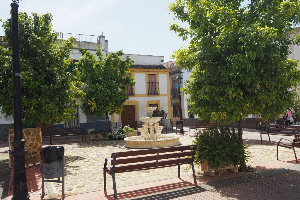plaza de la charquilla 7 scaled