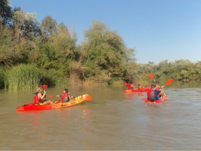 Kayaks en el Guadalquivir