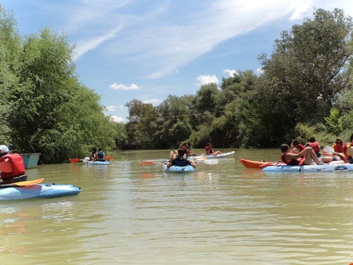 Actividad de kayak en grupo