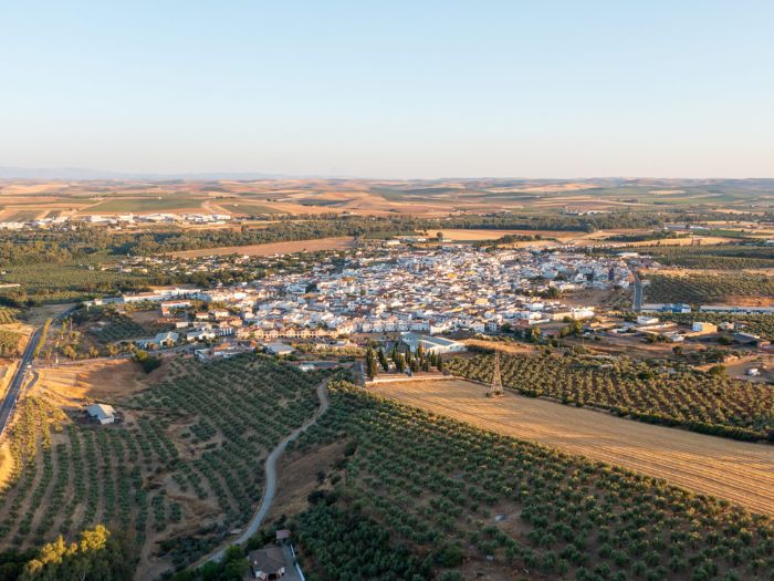 Transición entre Sierra Morena y la campiña del Guadalquivir en Villafranca